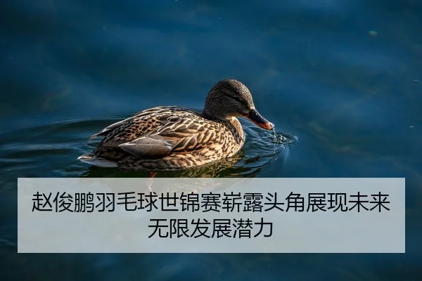 赵俊鹏羽毛球世锦赛崭露头角展现未来无限发展潜力